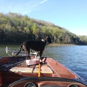 Meet your Posher, Terry